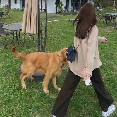 斯人似我
